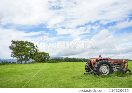 夏季長門農場(信州白樺高原) 夏季長門農場(信州白樺高原) 116820615
