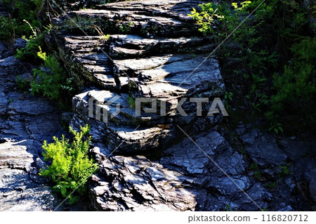 Chichibu's tourist attraction "Nagatoro Rock Beds" 116820712
