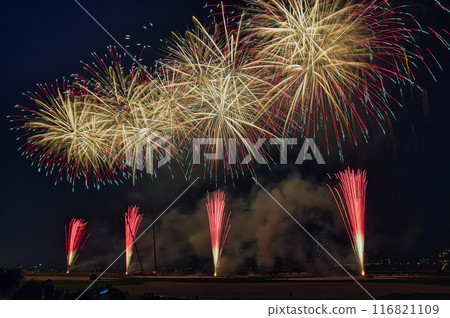 煙火在夜空中綻放，煙火表演高高閃耀，煙火，夜空，煙火影像，煙火表演 116821109