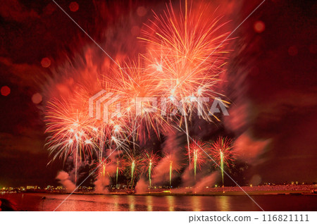 Fireworks blooming in the night sky, fireworks display shining high, fireworks, night sky, fireworks image, fireworks display 116821111