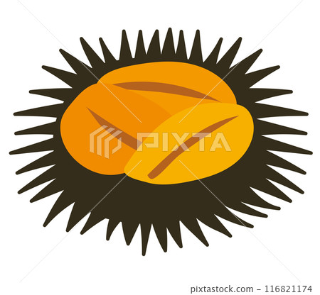 Sea urchin icon 116821174