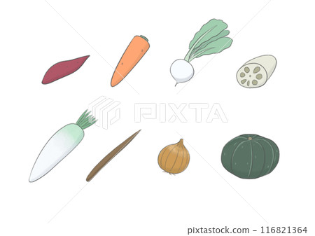 各種蔬菜的插圖 116821364