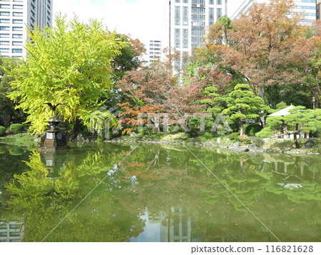 日比谷公園的雲池，秋天美麗，黃葉 116821628