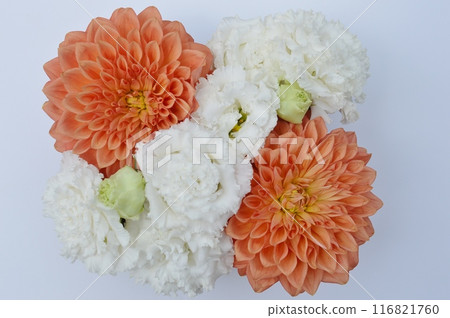 A square arrangement of dahlias and lisianthus 116821760