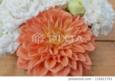 大麗花和洋桔梗的排列 116821761