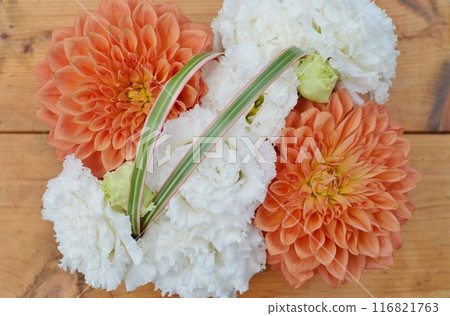 大麗花和桔梗的方形排列 116821763