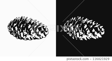Spruce cone. Image tracing, cleaned and simplified illustration. Realistic style. Not AI. 116821929