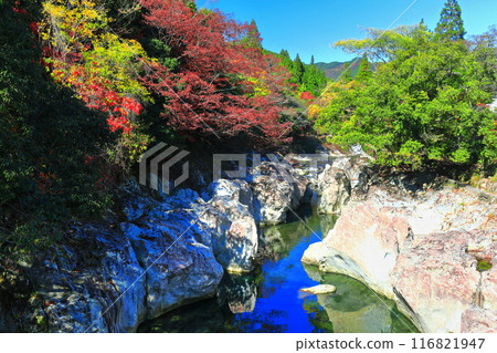 [Oita Prefecture] Autumn leaves at Sarutobi Sentsubo Gorge on a clear day (Okuyabakei) 116821947