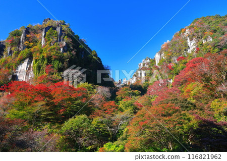 【大分縣】深秋紅葉的矢馬溪(一目了然八景) 【大分縣】深秋紅葉的矢馬溪(一目了然八景) 116821962
