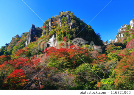 [Oita Prefecture] Deep Yabakei with autumn leaves (Eight views at a glance) 116821963