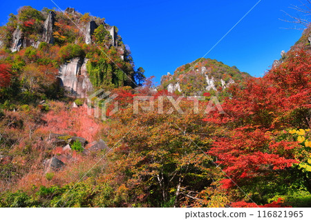 【大分縣】深秋紅葉的矢馬溪(一目了然八景) 【大分縣】深秋紅葉的矢馬溪(一目了然八景) 116821965