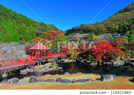 [Oita Prefecture] Autumn leaves at Keisekien on a clear day (Yabakei Dam Memorial Park) 116821969