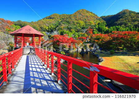 [Oita Prefecture] Autumn leaves at Keisekien on a clear day (Yabakei Dam Memorial Park) 116821970
