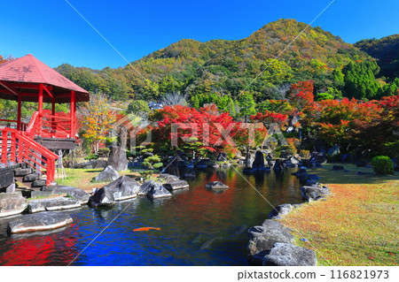 [大分縣] 晴天的京石園紅葉（矢馬溪水壩紀念公園） 116821973