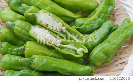 Shishito peppers 116822050