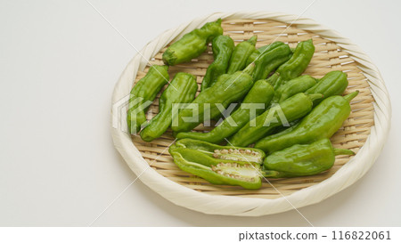 石獅辣椒/石獅辣椒 116822061