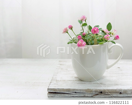 白色杯子裡的粉紅迷你玫瑰 白色杯子裡的粉紅迷你玫瑰 116822111