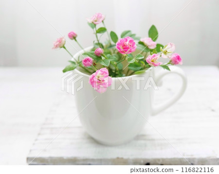 Pink mini roses in a white cup 116822116