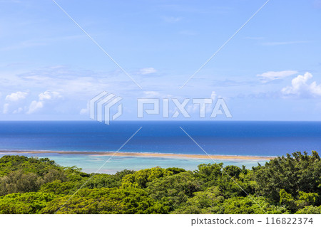 Beautiful view of the castle ruins 116822374