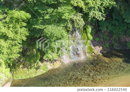 [Doshi River and waterfall in early summer] 116822540