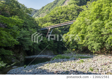 【初夏的多西河與青馬大橋】 【初夏的多西河與青馬大橋】 116822561