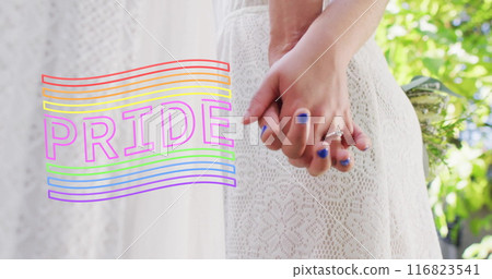 Image of rainbow pride text over diverse female married couple holding hands 116823541