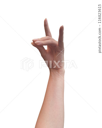 Woman's left hand depicting a fox 3 Woman's left hand depicting a fox 3 116823615