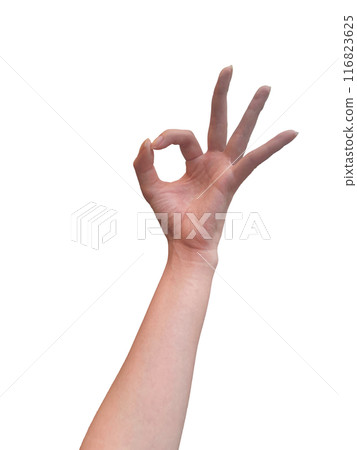 Woman's left hand making an OK sign 2 Woman's left hand making an OK sign 2 116823625