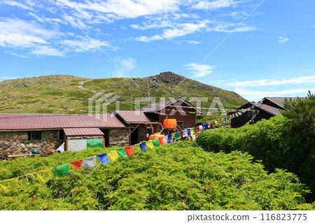 北海道的夏天,大雪山,黑岳石室,背景是黑岳 北海道的夏天,大雪山,黑岳石室,背景是黑岳 116823775