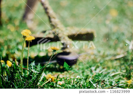 Weeds in front of defocused working drum head of string trimmer. 116823999