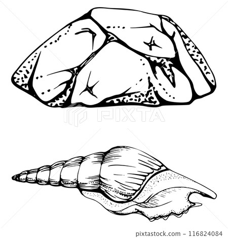 Marine life, sea ocean underwater creatures fish, shells algae seaweed, Ink and pen sketch hand drawn. Single object illustration, stylized, isolated on white. Zoo shop, aquarium, cosmetics, resort Marine life, sea ocean underwater creatures fish, shells algae seaweed, Ink and pen sketch hand drawn. Single object illustration, stylized, isolated on white. Zoo shop, aquarium, cosmetics, resort 116824084