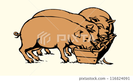 Vector drawing. Pigs eating rhe food 116824091