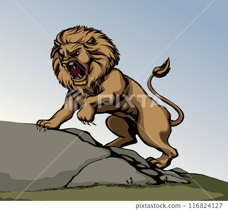 Vector drawing. An angry lion 116824127