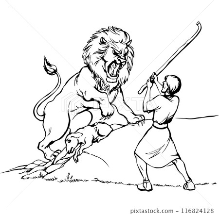 Vector drawing. An angry lion steal sheep Vector drawing. An angry lion steal sheep 116824128