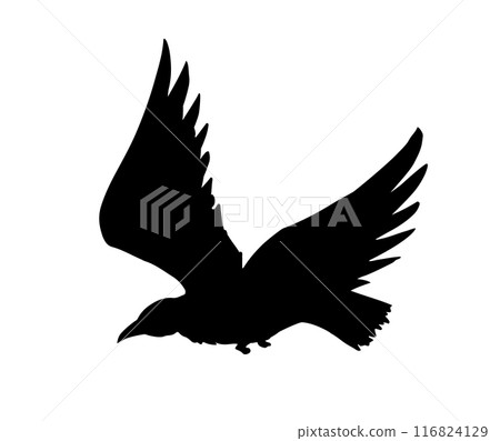 Vector drawing. Big flying bird 116824129
