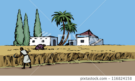 Vector drawing. Reapers in the field 116824158