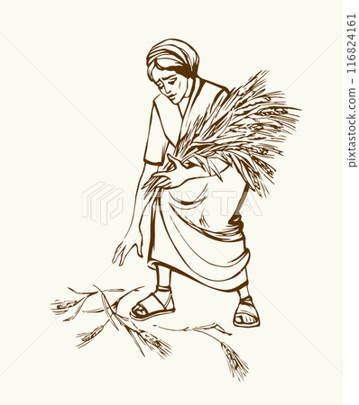 Vector drawing. A woman picks ears in the field Vector drawing. A woman picks ears in the field 116824161