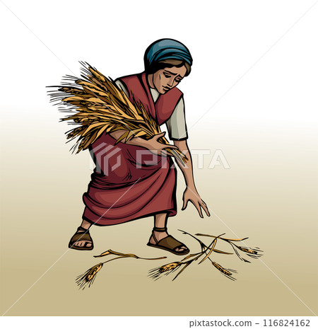 Vector drawing. A woman picks ears in the field Vector drawing. A woman picks ears in the field 116824162