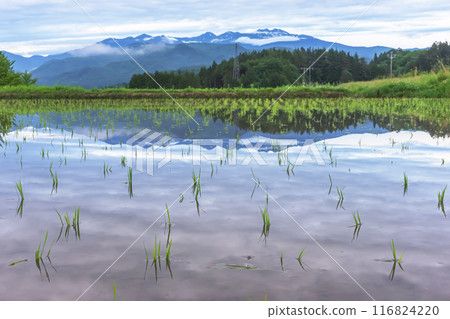 240610 Ueno-daira z086 116824220