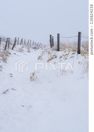 Kirigamine plateau with snowy scenery 116824238