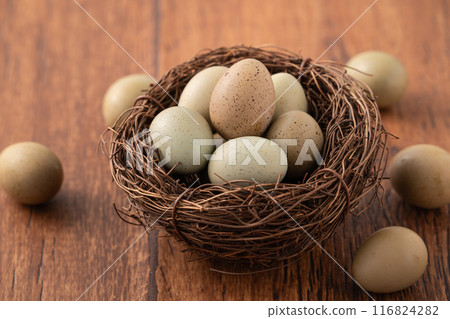 Rutin chicken Ludin chicken egg egg brown brown gray Egg in nest egg 生たまご 116824282