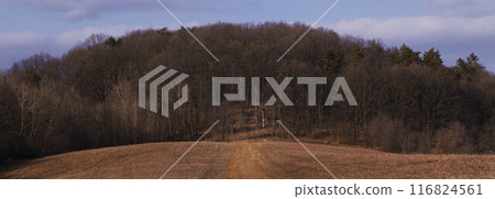 Autumn Path Leading to Forest in Humenne Autumn Path Leading to Forest in Humenne 116824561