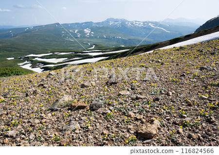 中提琴社區和富村牛山 中提琴社區和富村牛山 116824566