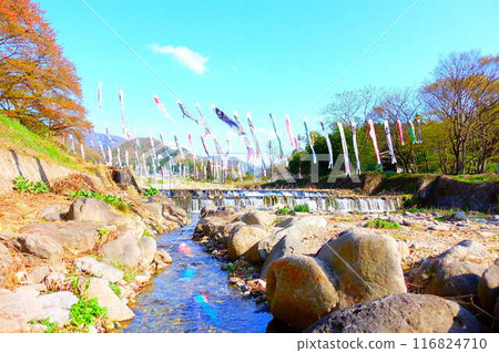 山形市高瀨川鯉魚旗、鯉魚旗、鯉魚旗 116824710