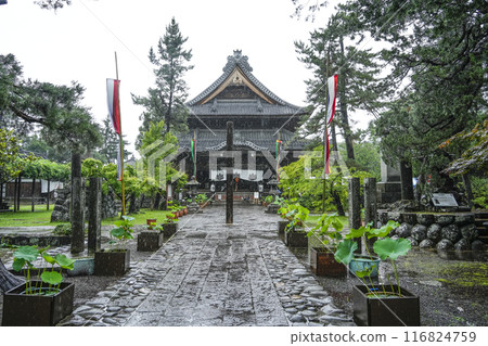 Rainy Yokkado Hall, Shinano Kokubunji Temple 116824759
