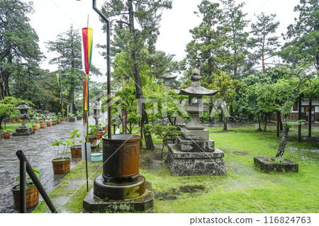 雨中的宿門、信濃國分寺 雨中的宿門、信濃國分寺 116824763