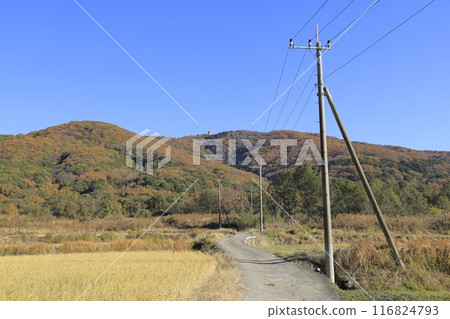 Mt. Hokyo on a clear autumn day with colorful foliage and the hiking trail leading to it 116824793