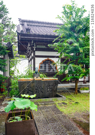 雨中的宿門、信濃國分寺 雨中的宿門、信濃國分寺 116824836