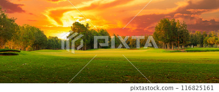 Golf course at sunset with beautiful sky and sand trap. Scenic panoramic view of golf fairway with bunker. Golf field with pines Golf course at sunset with beautiful sky and sand trap. Scenic panoramic view of golf fairway with bunker. Golf field with pines 116825161