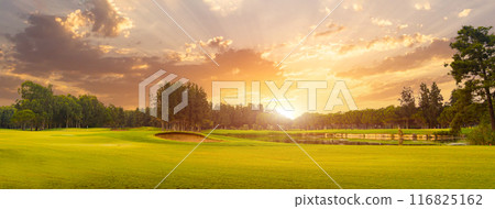 Golf course at sunset with beautiful sky and sand trap. Scenic panoramic view of golf fairway with bunker. Golf field with pines Golf course at sunset with beautiful sky and sand trap. Scenic panoramic view of golf fairway with bunker. Golf field with pines 116825162